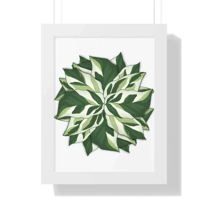 Calathea White Fusion Framed Print, Poster, Laura Christine Photography & Design, Bottle, Calathea, Canvas Bag, Coffee, Drinkware, Framed, Home & Living, Indoor, Paper, Posters, Prayer Plant, Reusable, Shopping Bag, Tea, Tote Bag, Travel, Tumbler, Water, White Fusion, Laura Christine Photography & Design, laurachristinedesign.com