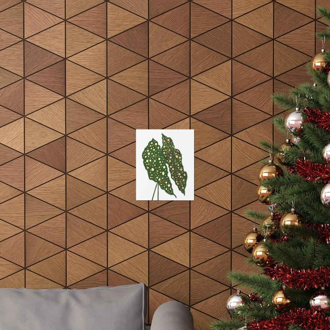 Begonia Maculata Print - Botanical Wall Art on Museum Grade Paper | Matte Finish Unframed - The Potted Pixel