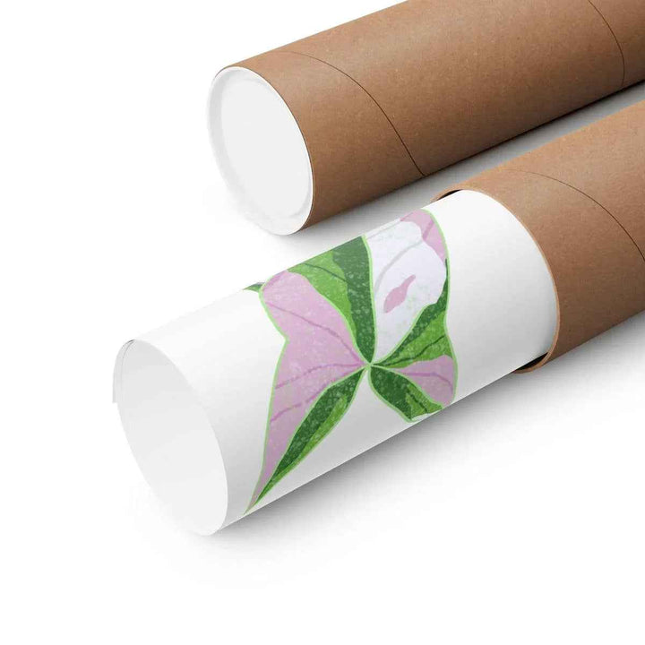 Syngonium Tricolor Print – Botanical Wall Art | Variegated Leaf Poster Unframed - The Potted Pixel