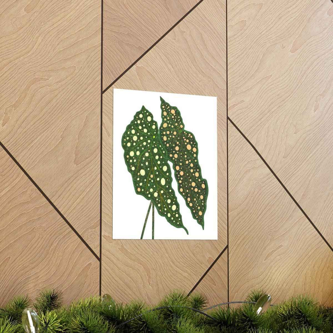 Begonia Maculata Print - Botanical Wall Art on Museum Grade Paper | Matte Finish Unframed - The Potted Pixel