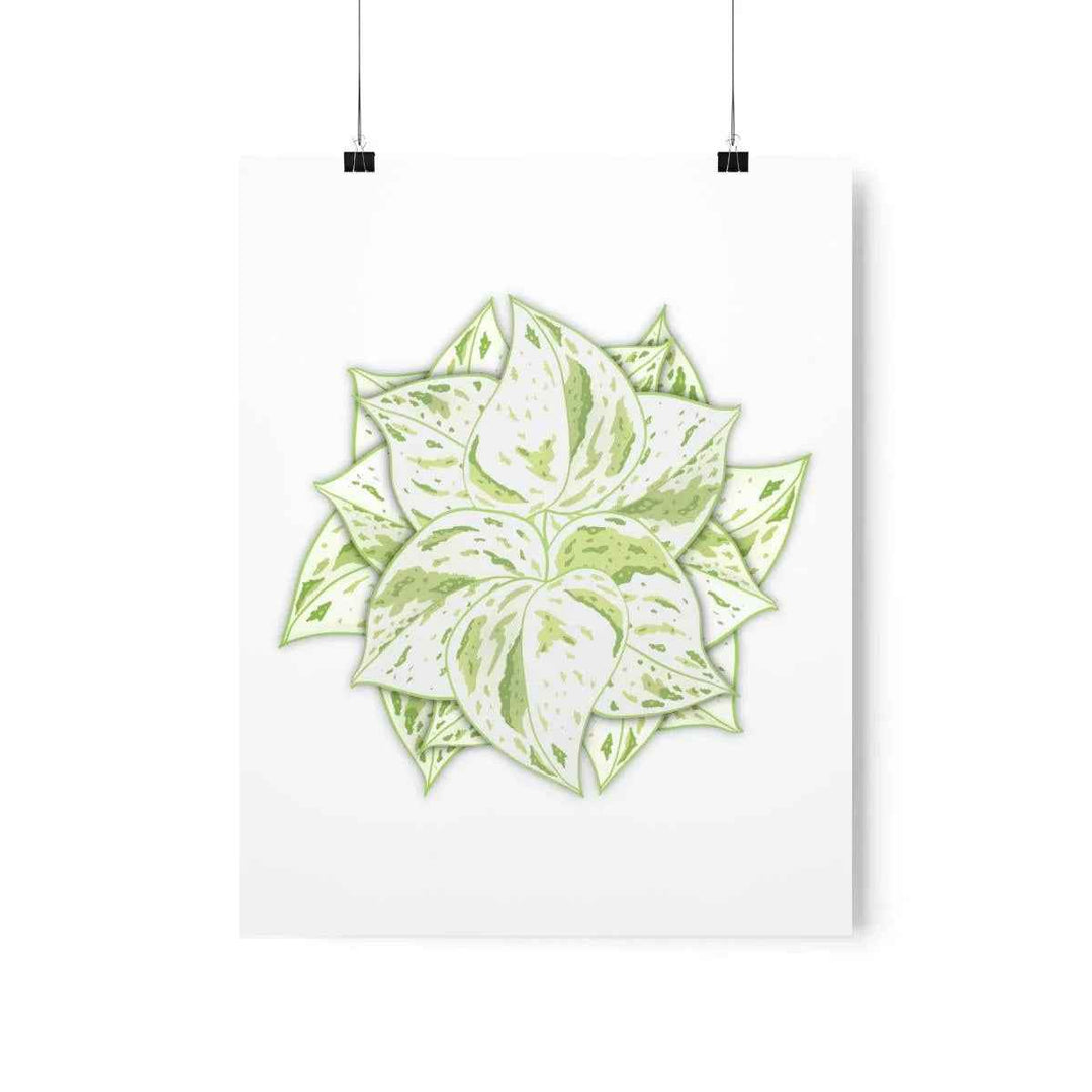 Snow Queen Pothos Print – Variegated Pothos Art on Museum Grade Paper Unframed - The Potted Pixel