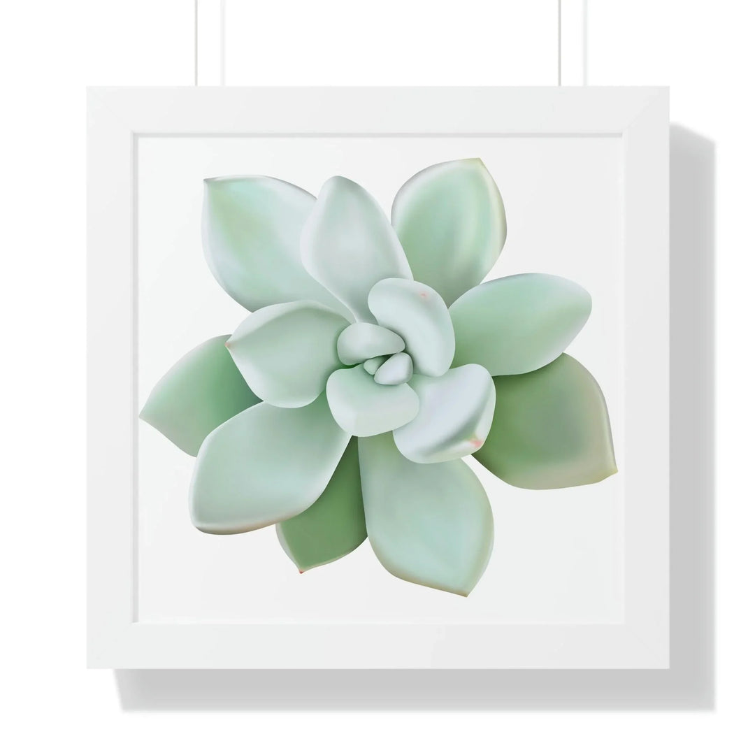 Pachyveria Haagei Succulent Framed Print, Poster, Printify, Framed, Home & Living, Indoor, Paper, Posters, Laura Christine Photography & Design, laurachristinedesign.com