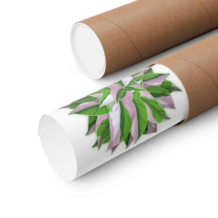 Syngonium Tricolor Botanical Print – Unframed Wall Art - The Potted Pixel