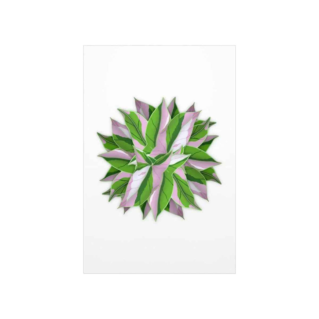 Syngonium Tricolor Botanical Print – Unframed Wall Art - The Potted Pixel