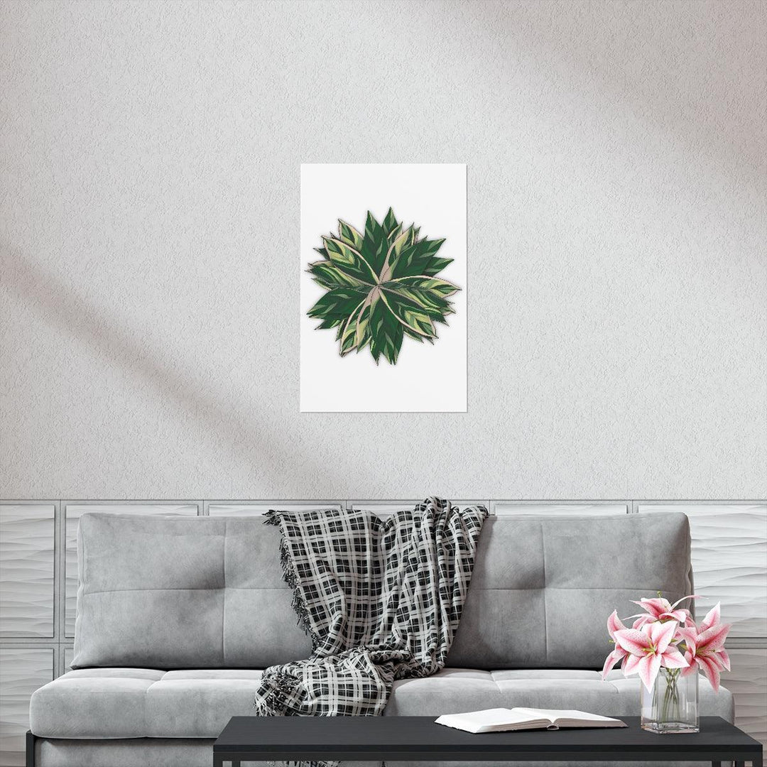 Stromanthe Triostar Print – Tropical Wall Art | Botanical Poster on Museum Grade Paper Unframed - The Potted Pixel