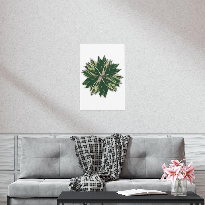 Stromanthe Triostar Print – Tropical Wall Art | Botanical Poster on Museum Grade Paper Unframed - The Potted Pixel