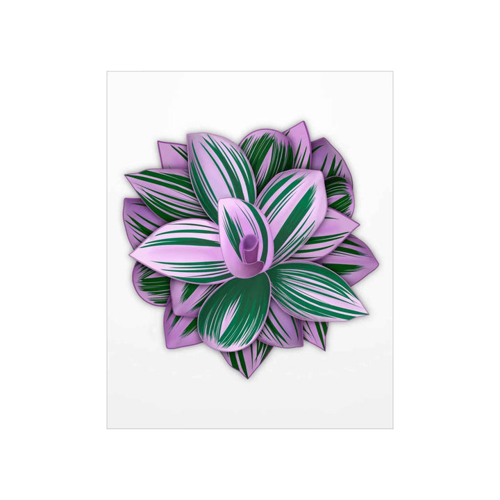 Tradescantia Nanouk Print – Botanical Wall Art on Museum-Grade Paper Poster Unframed - The Potted Pixel
