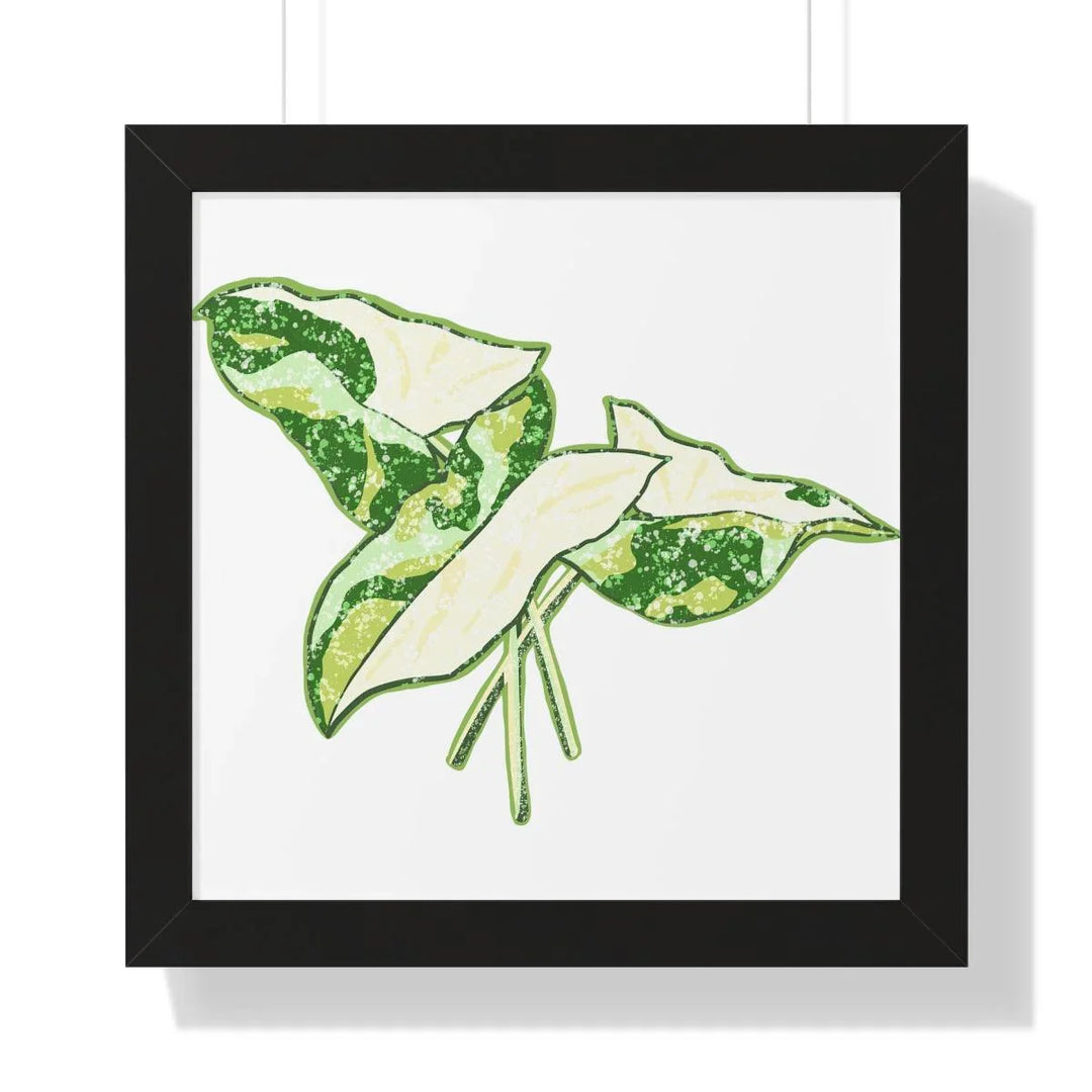 Marble Syngonium Framed Print, Poster, Laura Christine Photography & Design, Framed, Home & Living, Indoor, Paper, Posters, Laura Christine Photography & Design, laurachristinedesign.com