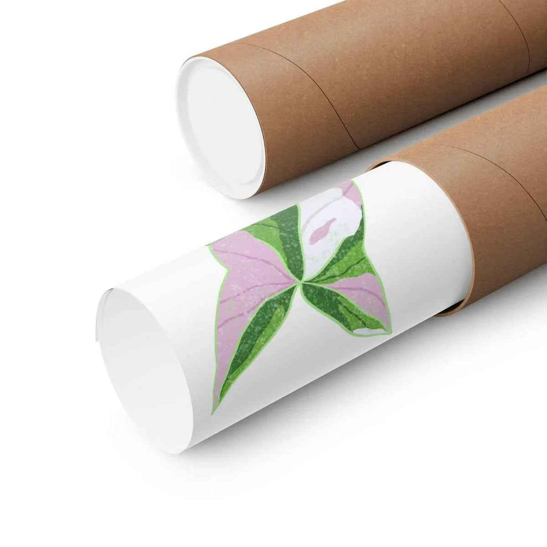 Syngonium Tricolor Print – Botanical Wall Art | Variegated Leaf Poster Unframed - The Potted Pixel