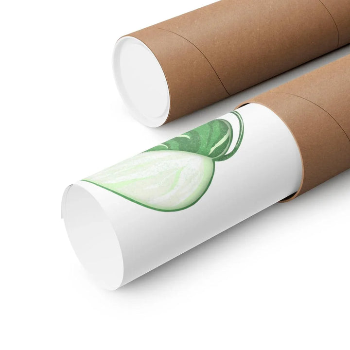 Monstera Albo Print, Poster, Laura Christine Photography & Design, Back to School, Home & Living, Indoor, Matte, Paper, Posters, Valentine's Day promotion, Laura Christine Photography & Design, 