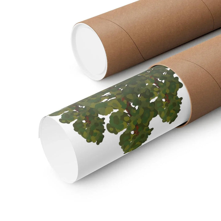 Coastal Redwoods Print, Poster, Laura Christine Photography & Design, Back to School, Home & Living, Indoor, Matte, Paper, Posters, Valentine's Day promotion, Laura Christine Photography & Design, laurachristinedesign.com