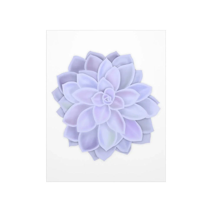 Graptopetalum 'Murasaki' Succulent Print, Poster, Laura Christine Photography & Design, Back to School, Home & Living, Indoor, Matte, Paper, Posters, Valentine's Day promotion, Laura Christine Photography & Design, laurachristinedesign.com