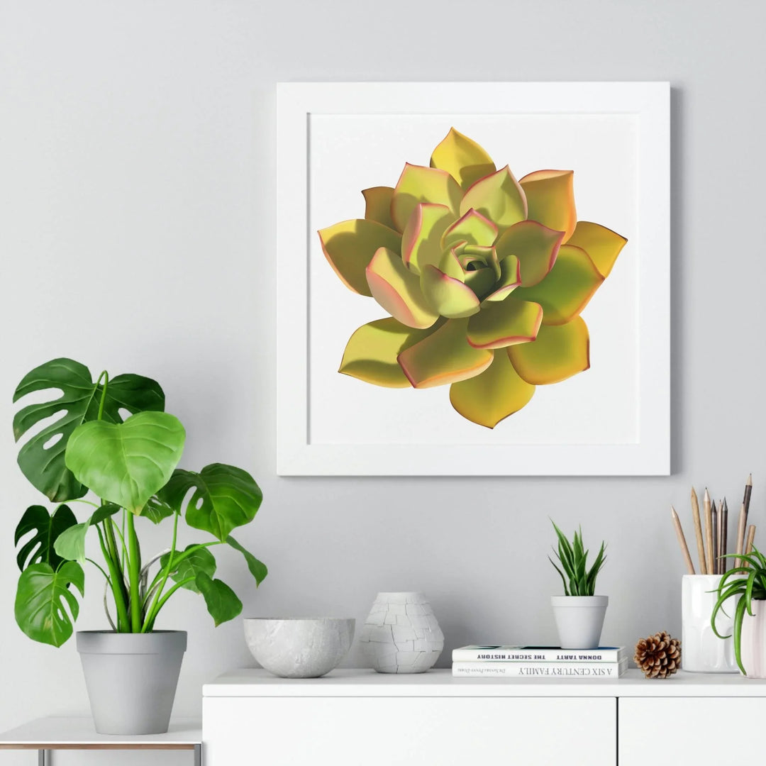 Noble Aeonium Succulent Framed Print, Poster, Printify, Framed, Home & Living, Indoor, Paper, Posters, Laura Christine Photography & Design, laurachristinedesign.com