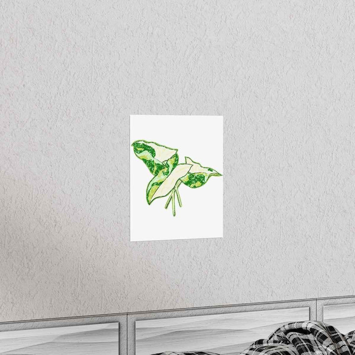 Marble Syngonium Print – Botanical Wall Art on Museum Grade Paper | Matte Finish Unframed - The Potted Pixel