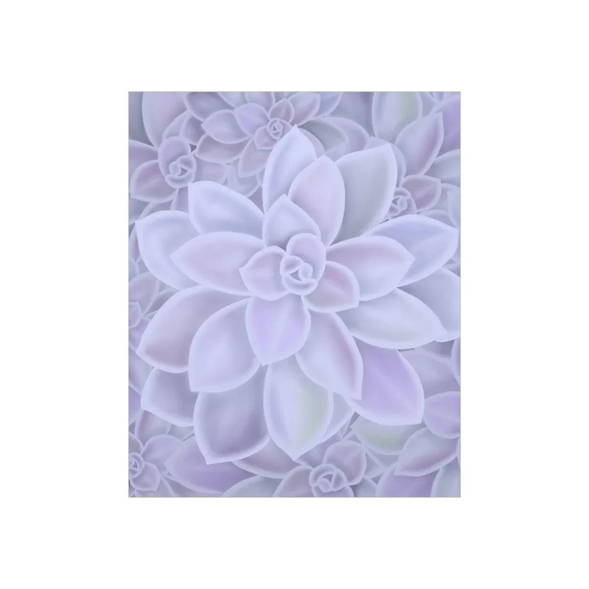 Graptopetalum 'Murasaki' Succulent Print, Poster, Laura Christine Photography & Design, Back to School, Home & Living, Indoor, Matte, Paper, Posters, Valentine's Day promotion, Laura Christine Photography & Design, laurachristinedesign.com