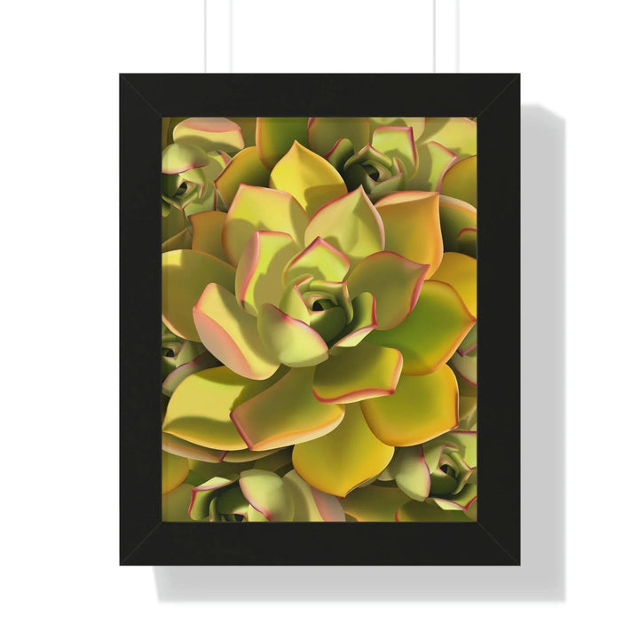 Noble Aeonium Succulent Pattern Framed Print, Poster, Printify, Framed, Home & Living, Indoor, Paper, Posters, Laura Christine Photography & Design, laurachristinedesign.com