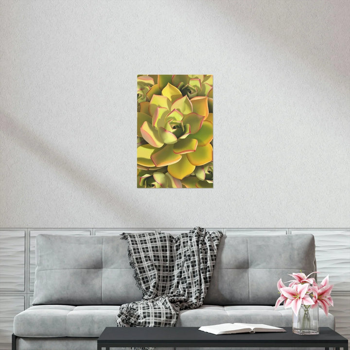 Noble Aeonium Succulent Pattern Print, Poster, Printify, Back to School, Home & Living, Indoor, Matte, Paper, Posters, Valentine's Day promotion, Laura Christine Photography & Design, laurachristinedesign.com