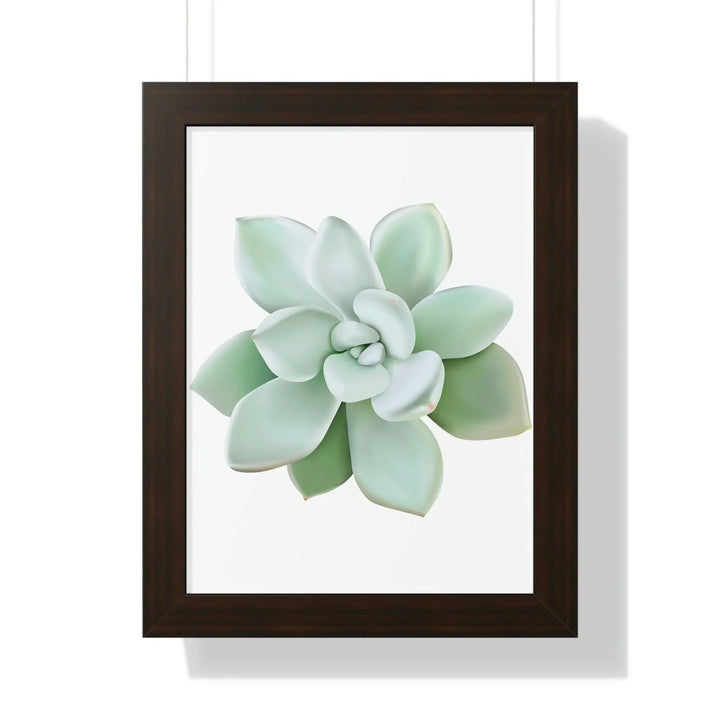 Pachyveria Haagei Succulent Framed Print, Poster, Printify, Framed, Home & Living, Indoor, Paper, Posters, Laura Christine Photography & Design, laurachristinedesign.com