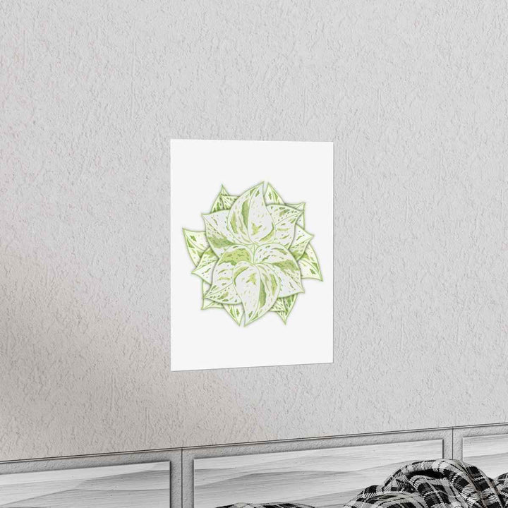 Snow Queen Pothos Print – Variegated Pothos Art on Museum Grade Paper Unframed - The Potted Pixel