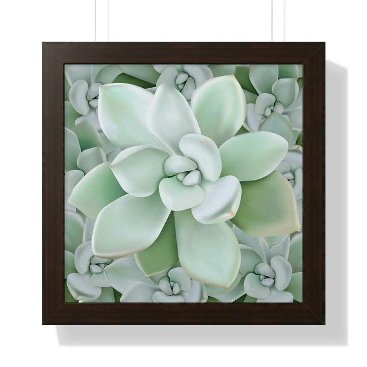 Pachyveria Haagei Succulent Pattern Framed Print, Poster, Printify, Framed, Home & Living, Indoor, Paper, Posters, Laura Christine Photography & Design, laurachristinedesign.com