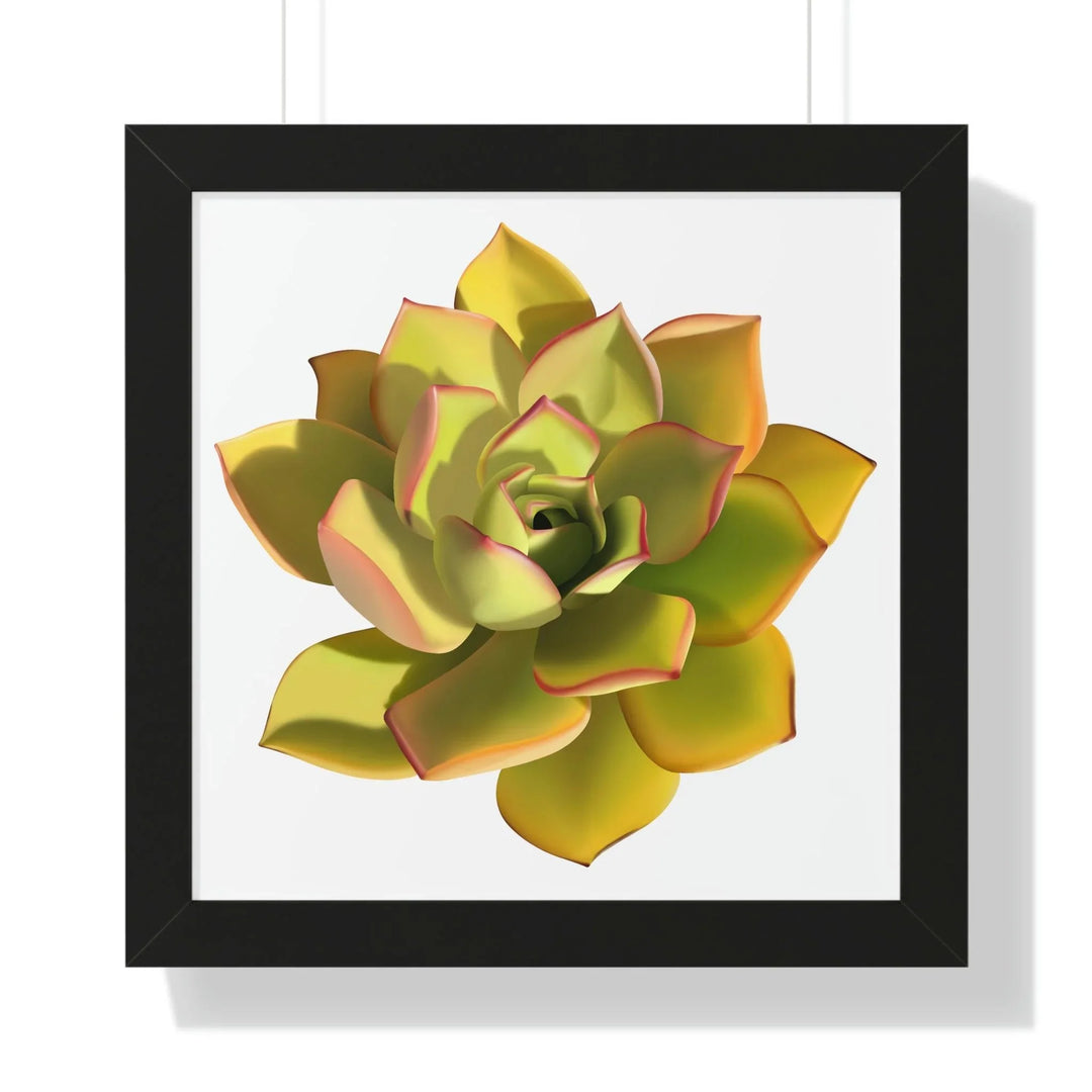 Noble Aeonium Succulent Framed Print, Poster, Printify, Framed, Home & Living, Indoor, Paper, Posters, Laura Christine Photography & Design, laurachristinedesign.com