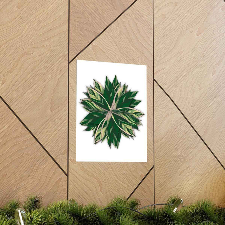 Stromanthe Triostar Print – Tropical Wall Art | Botanical Poster on Museum Grade Paper Unframed - The Potted Pixel