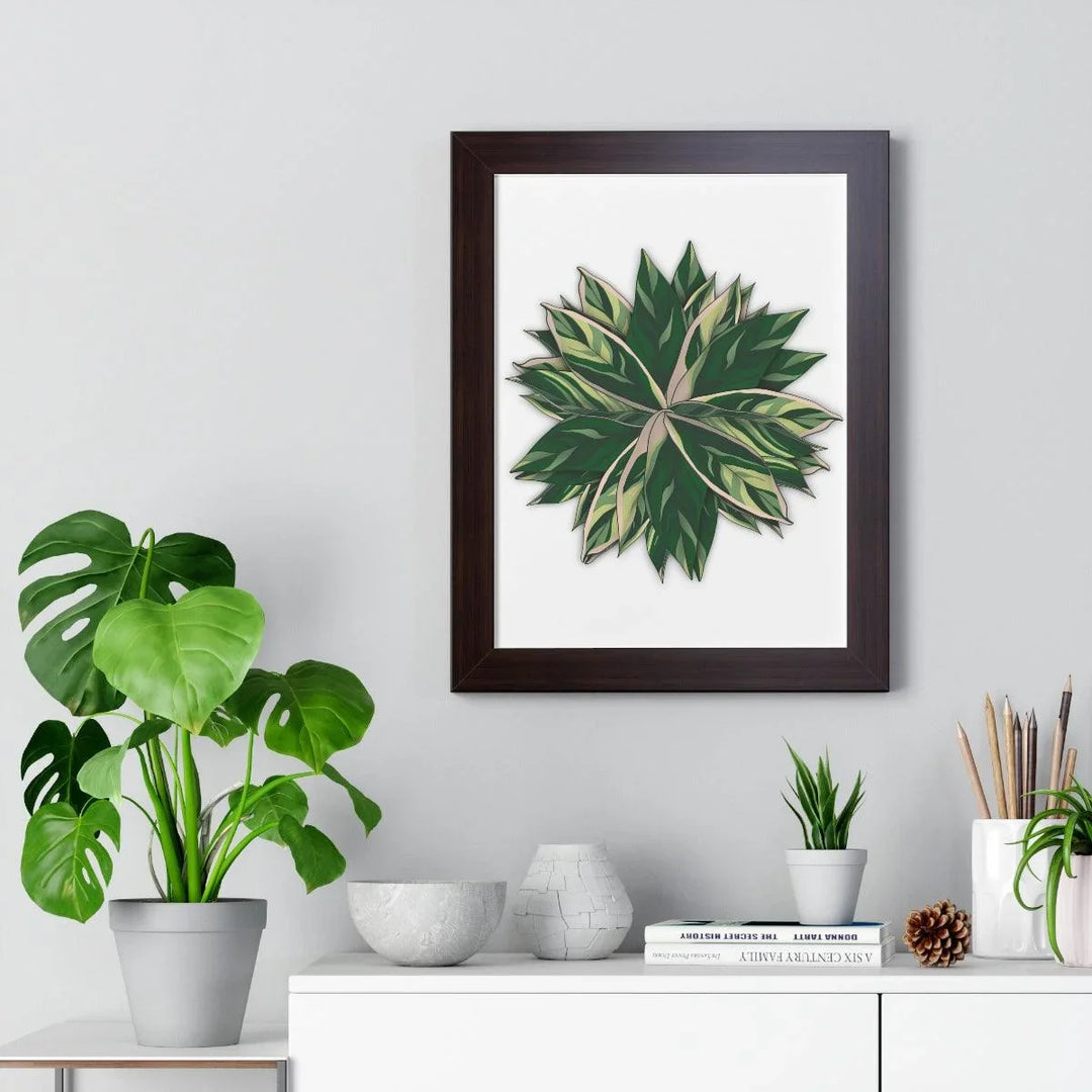 Stromanthe Triostar Framed Print, Poster, Laura Christine Photography & Design, Framed, Home & Living, Indoor, Paper, Posters, Laura Christine Photography & Design, laurachristinedesign.com