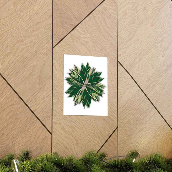 Stromanthe Triostar Print – Tropical Wall Art | Botanical Poster on Museum Grade Paper Unframed - The Potted Pixel