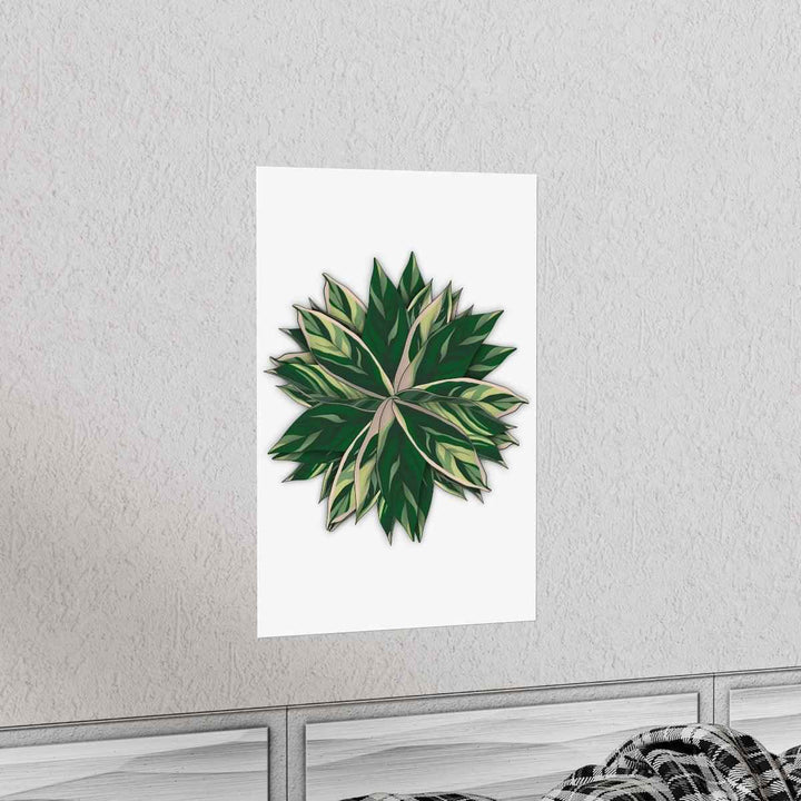 Stromanthe Triostar Print – Tropical Wall Art | Botanical Poster on Museum Grade Paper Unframed - The Potted Pixel