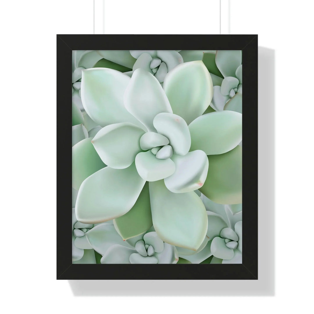 Pachyveria Haagei Succulent Pattern Framed Print, Poster, Printify, Framed, Home & Living, Indoor, Paper, Posters, Laura Christine Photography & Design, laurachristinedesign.com