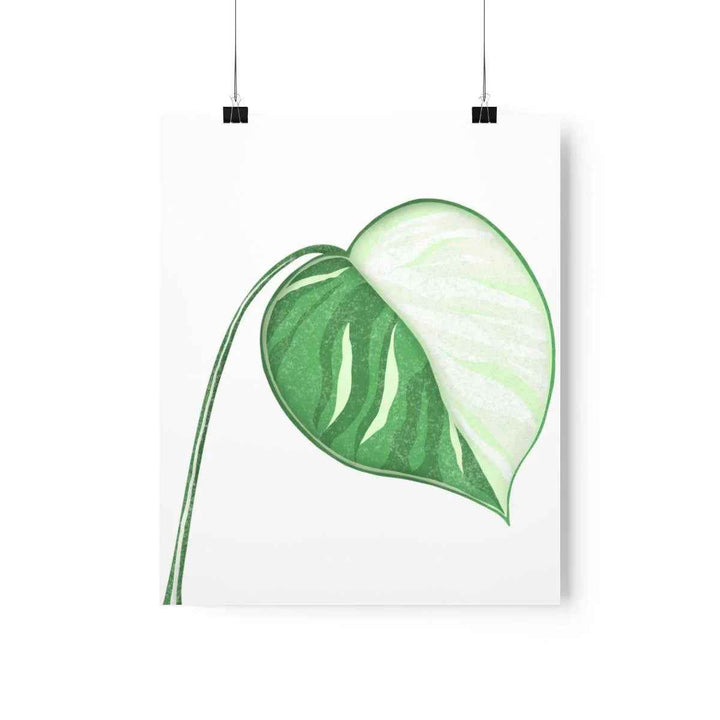 Monstera Albo Print – Large Tropical Leaf Poster | Museum Grade Paper Artwork Unframed