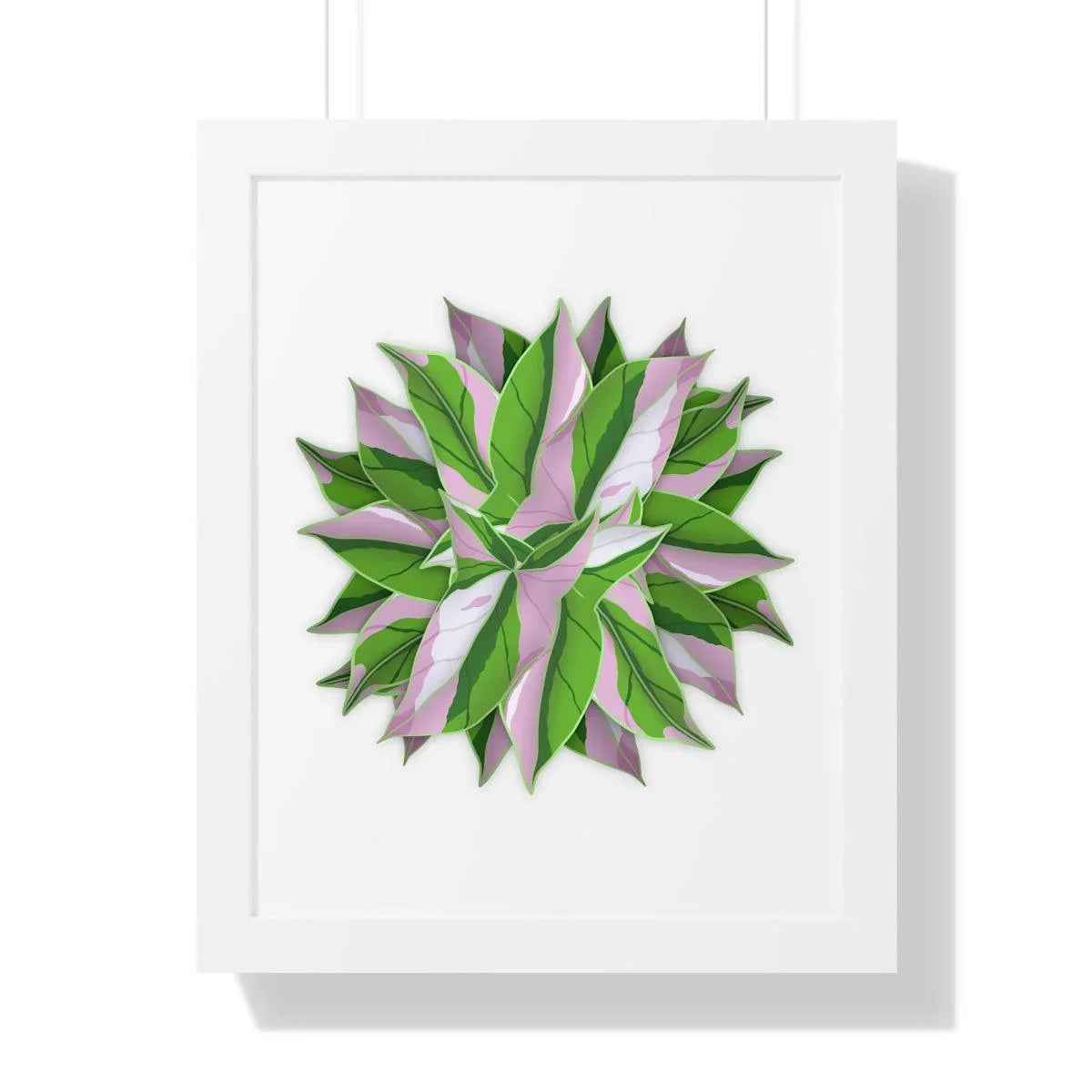 Syngonium Tricolor Print - Framed Botanical Art With Matte Finish & Acrylic Cover - The Potted Pixel