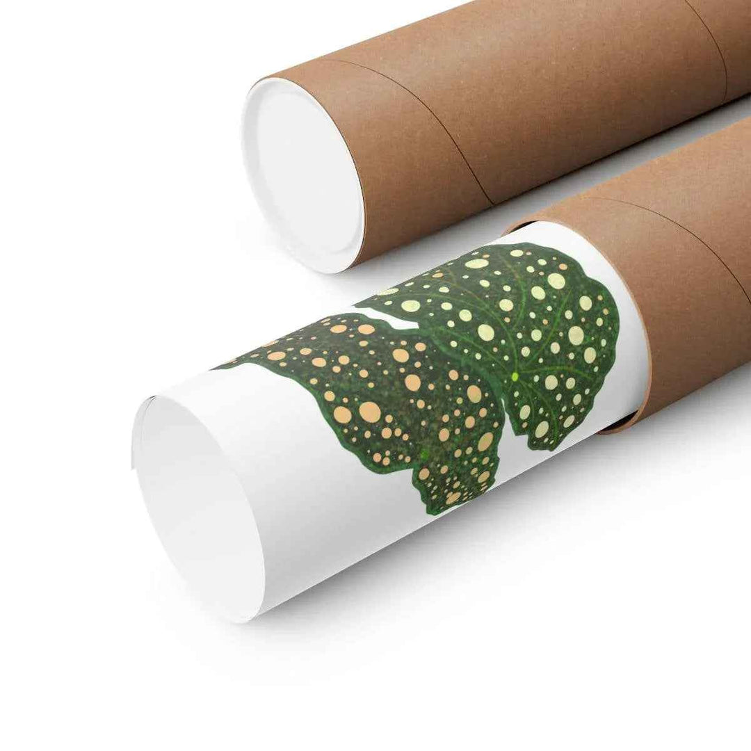 Begonia Maculata Print - Botanical Wall Art on Museum Grade Paper | Matte Finish Unframed - The Potted Pixel