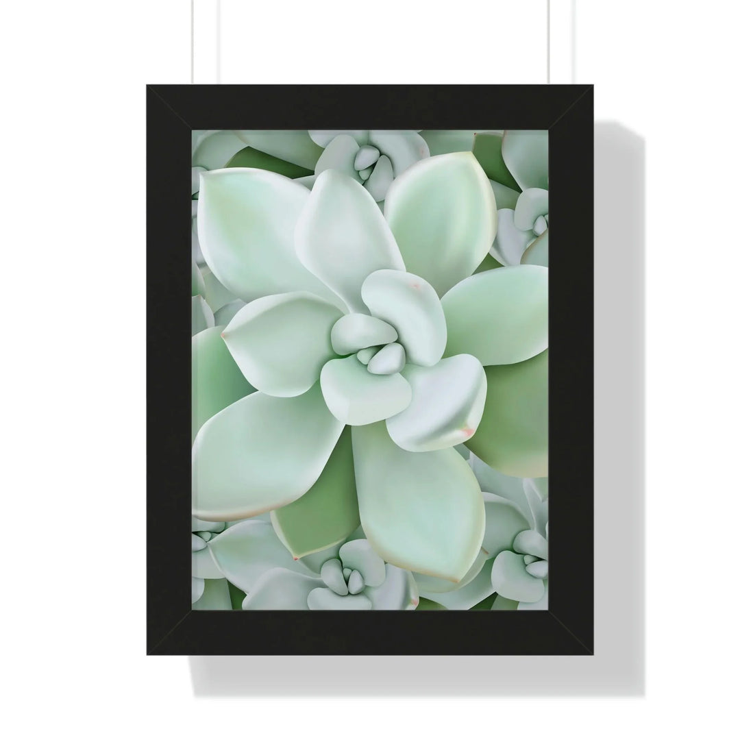Pachyveria Haagei Succulent Pattern Framed Print, Poster, Printify, Framed, Home & Living, Indoor, Paper, Posters, Laura Christine Photography & Design, laurachristinedesign.com