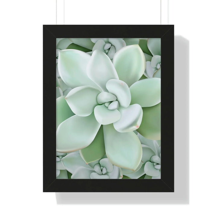 Pachyveria Haagei Succulent Pattern Framed Print, Poster, Printify, Framed, Home & Living, Indoor, Paper, Posters, Laura Christine Photography & Design, laurachristinedesign.com