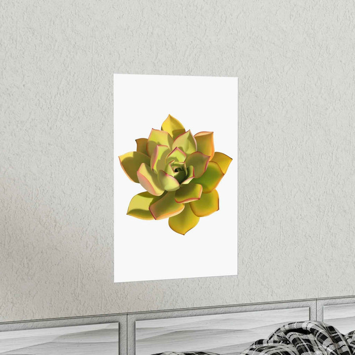 POS Aeonium Print