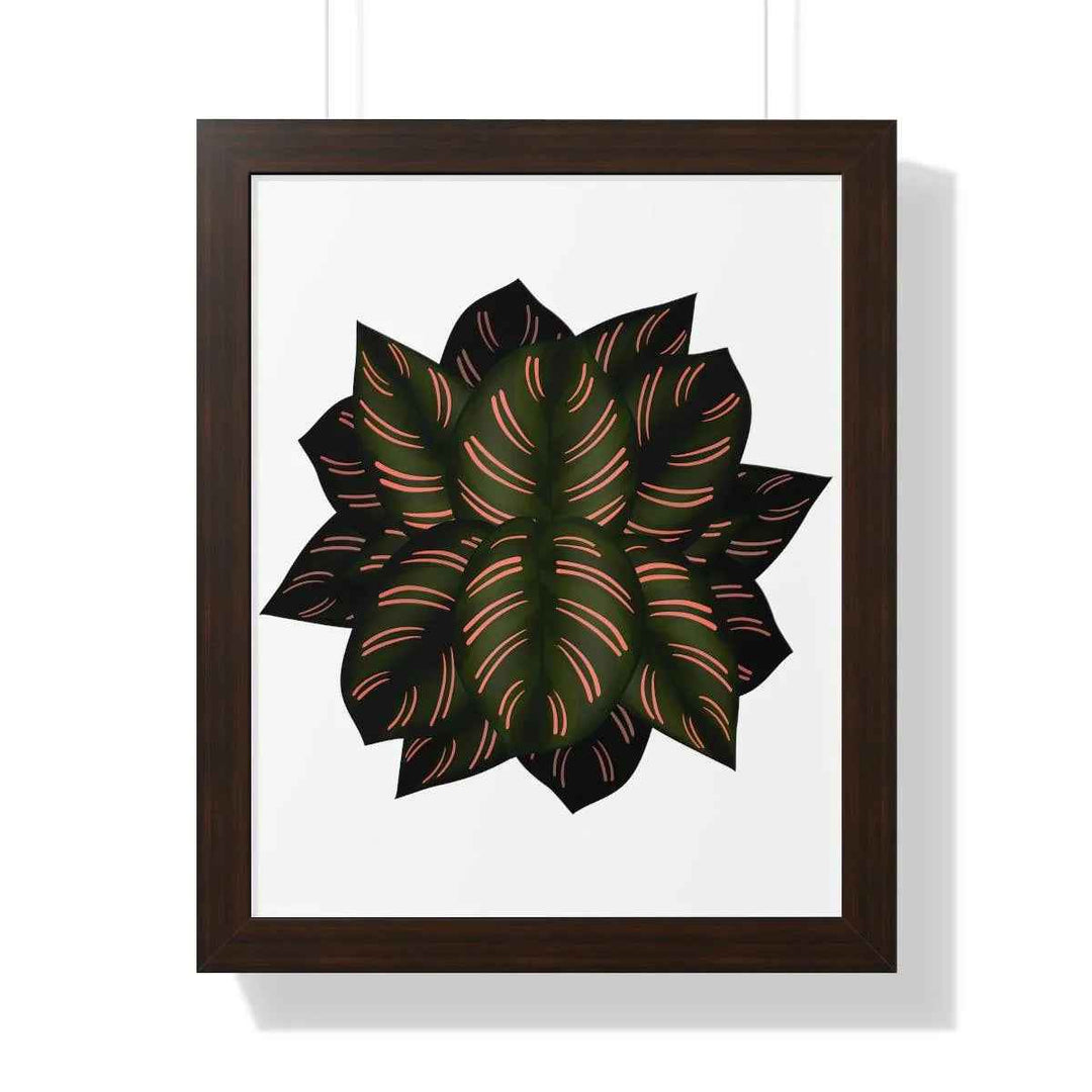 Calathea Pinstripe Print - Framed Botanical Art With Matte Finish & Acrylic Cover - The Potted Pixel