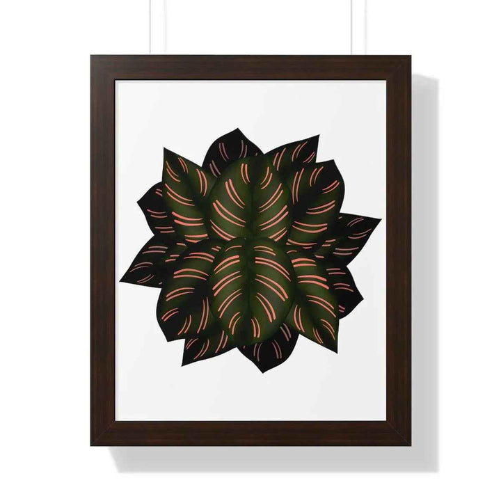 Calathea Pinstripe Print - Framed Botanical Art With Matte Finish & Acrylic Cover - The Potted Pixel