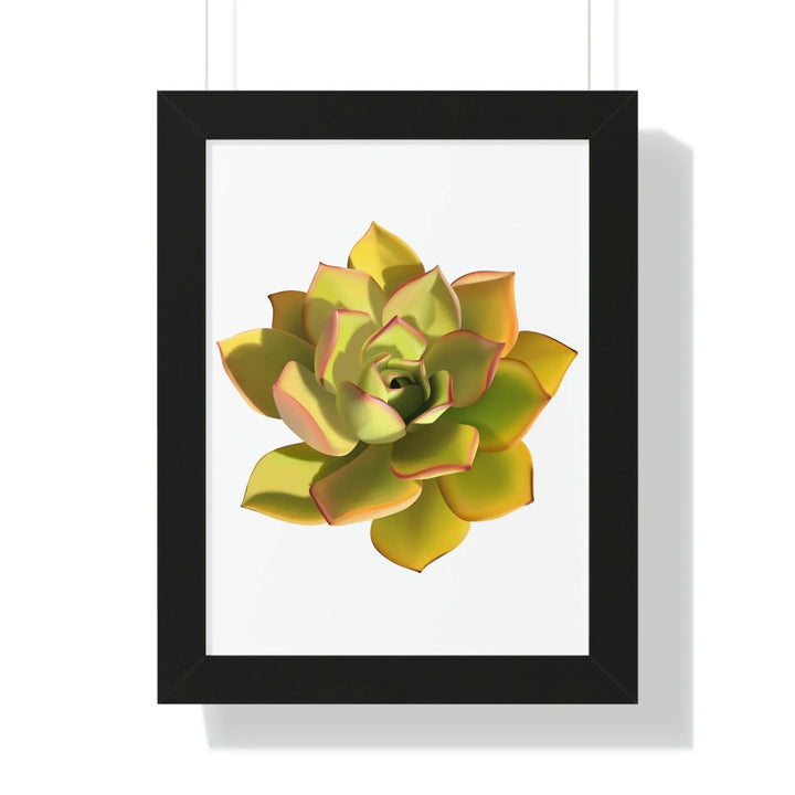 Noble Aeonium Succulent Framed Print, Poster, Printify, Framed, Home & Living, Indoor, Paper, Posters, Laura Christine Photography & Design, laurachristinedesign.com
