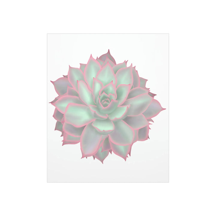 Echeveria Violet Queen Print Succulent Wall Art Botanical Poster On Museum Grade Paper For Indoor Plant Decor