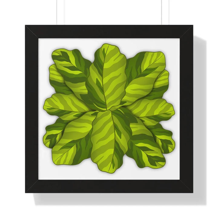 Calathea Yellow Fusion Framed Print, Poster, Laura Christine Photography & Design, Bottle, Calathea, Canvas Bag, Coffee, Drinkware, Framed, Home & Living, Indoor, Paper, Posters, Prayer Plant, Reusable, Shopping Bag, Tea, Tote Bag, Travel, Tumbler, Water, Yellow Fusion, Laura Christine Photography & Design, laurachristinedesign.com