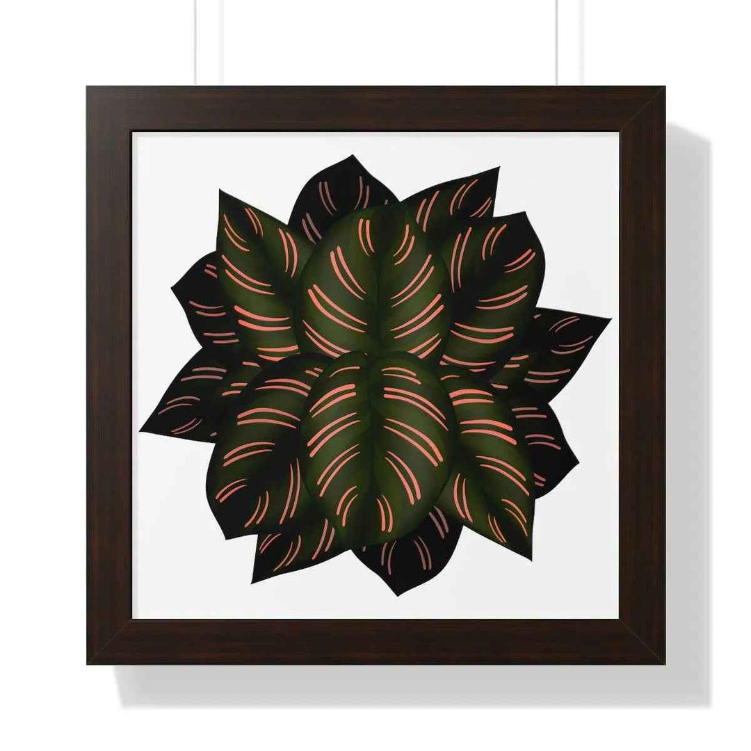 Calathea Pinstripe Print - Framed Botanical Art With Matte Finish & Acrylic Cover - The Potted Pixel