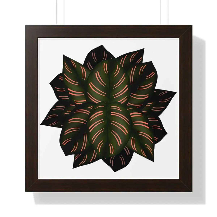 Calathea Pinstripe Print - Framed Botanical Art With Matte Finish & Acrylic Cover - The Potted Pixel