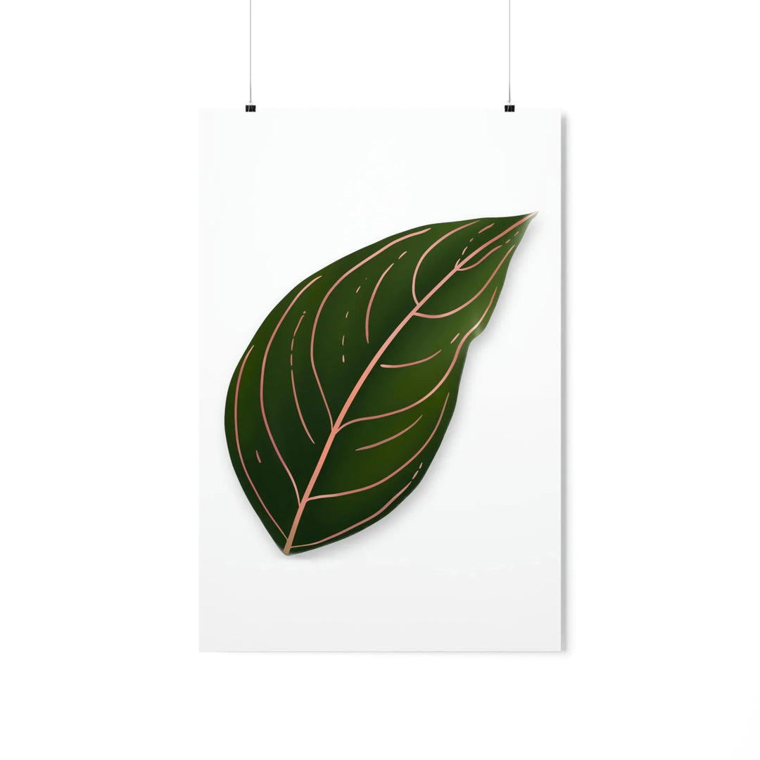 Aglaonema Rotundum Print Botanical Wall Art On Museum Grade Paper Unframed Poster Home Decor