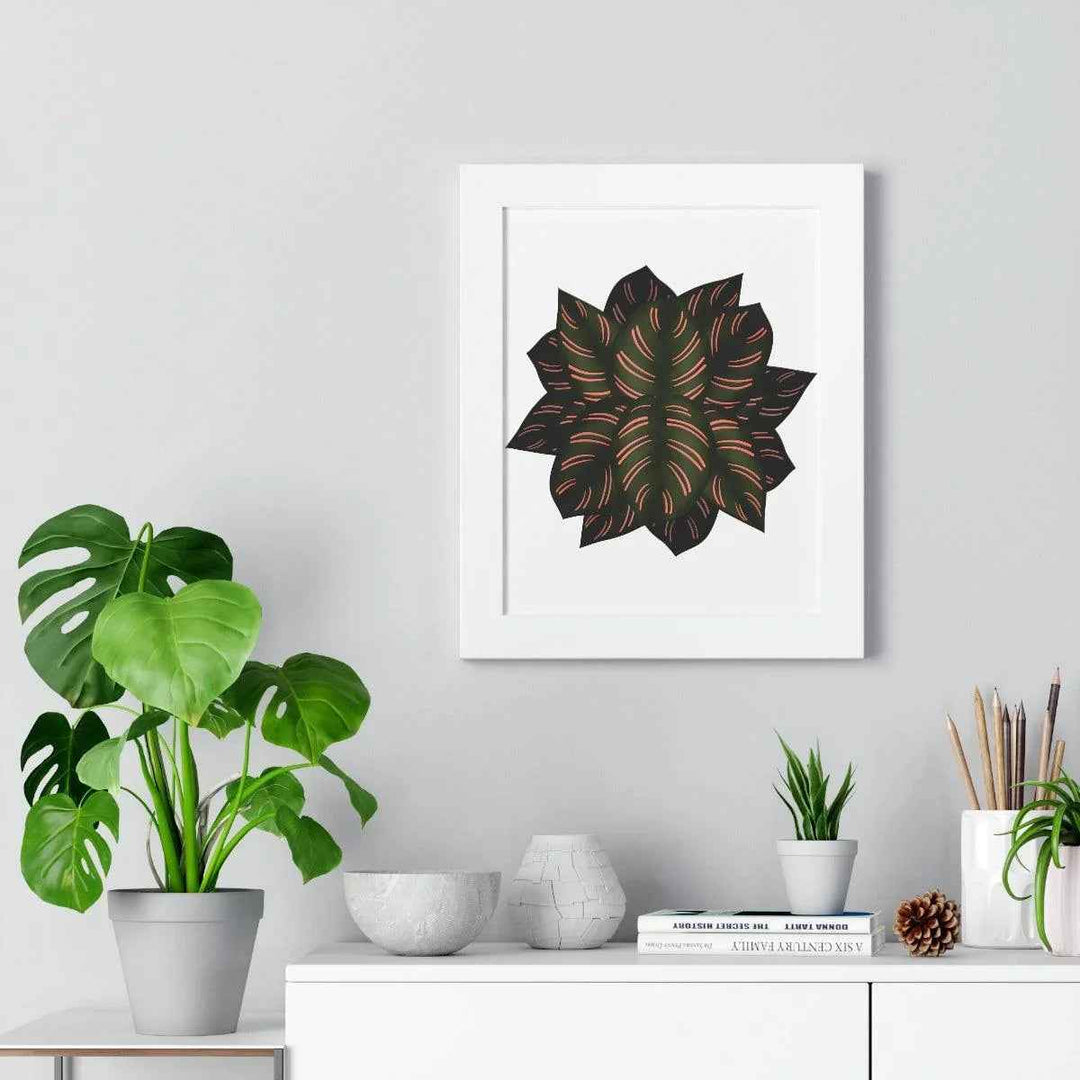 Calathea Pinstripe Print - Framed Botanical Art With Matte Finish & Acrylic Cover - The Potted Pixel
