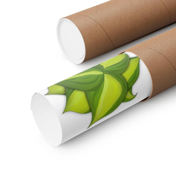 Philodendron Brasil Print – Botanical Wall Art on Museum Grade Paper Poster Unframed - The Potted Pixel