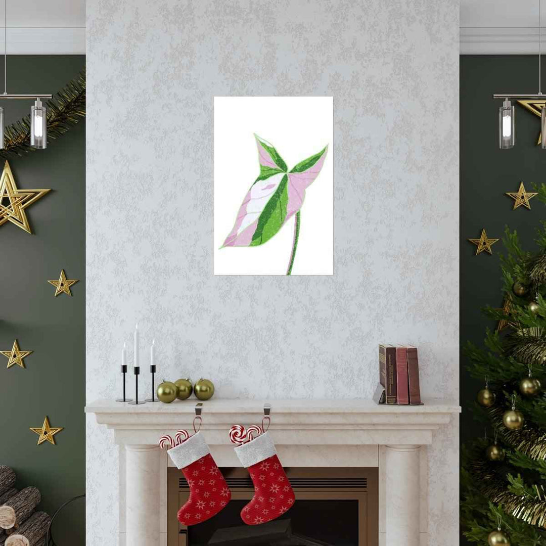 Syngonium Tricolor Print – Botanical Wall Art | Variegated Leaf Poster Unframed - The Potted Pixel
