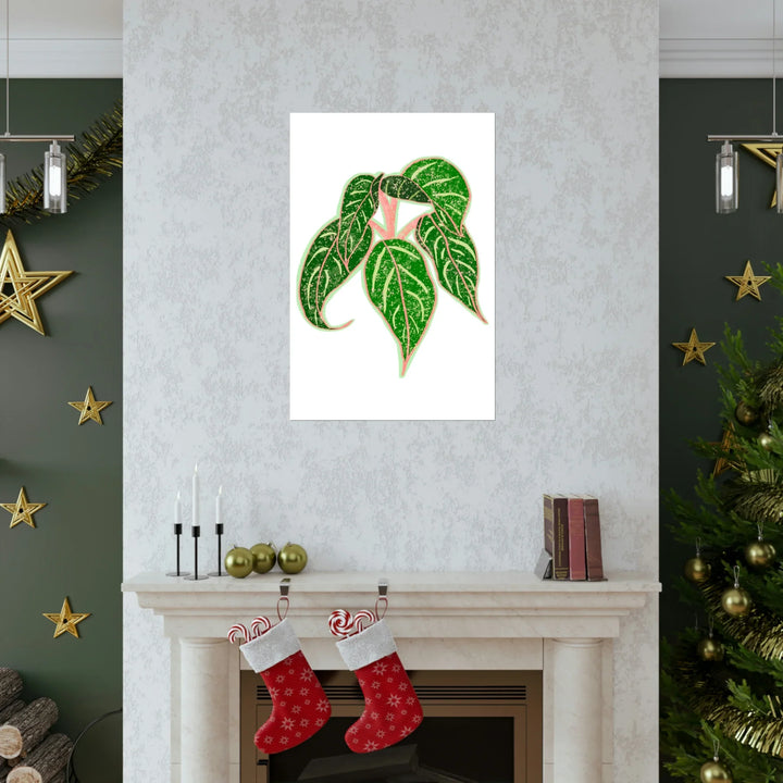 Aglaonema Art Print Sparkling Sarah Botanical Wall Art On Museum Grade Paper Unframed