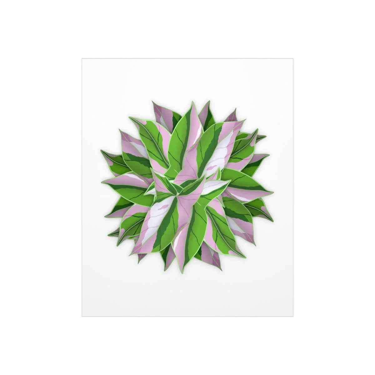 Tricolor Syngonium Print - Botanical Poster on Museum Grade Paper | Archival Ink Unframed - The Potted Pixel