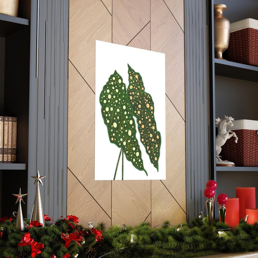 Begonia Maculata Print - Botanical Wall Art on Museum Grade Paper | Matte Finish Unframed - The Potted Pixel